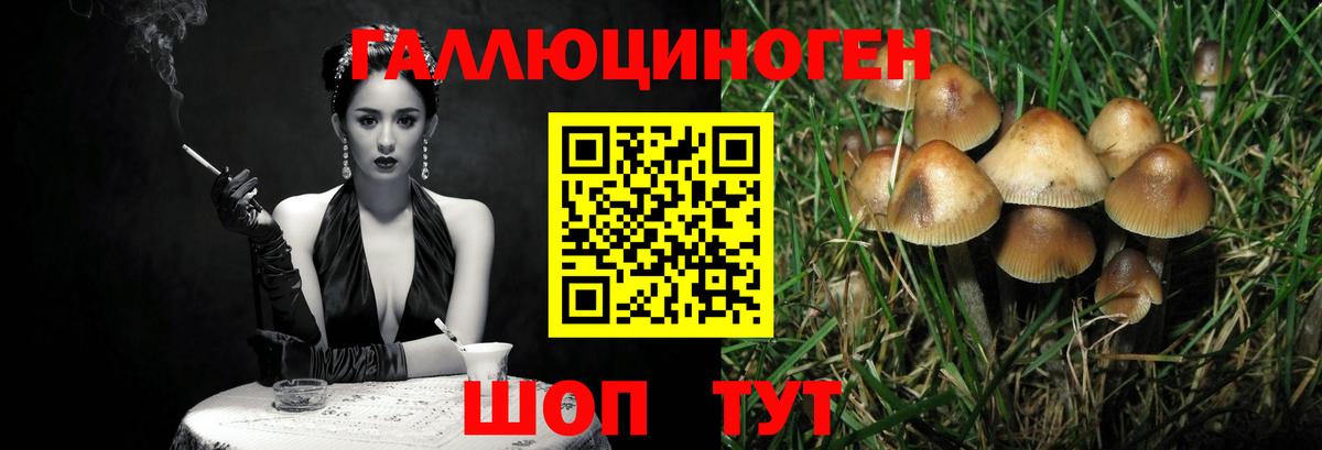 Галлюциногенные грибы мухоморы  Галлюциногенные грибы мухоморы  Вход с VPN  Унеча 